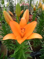 [5592 VH22 No02.JPG]